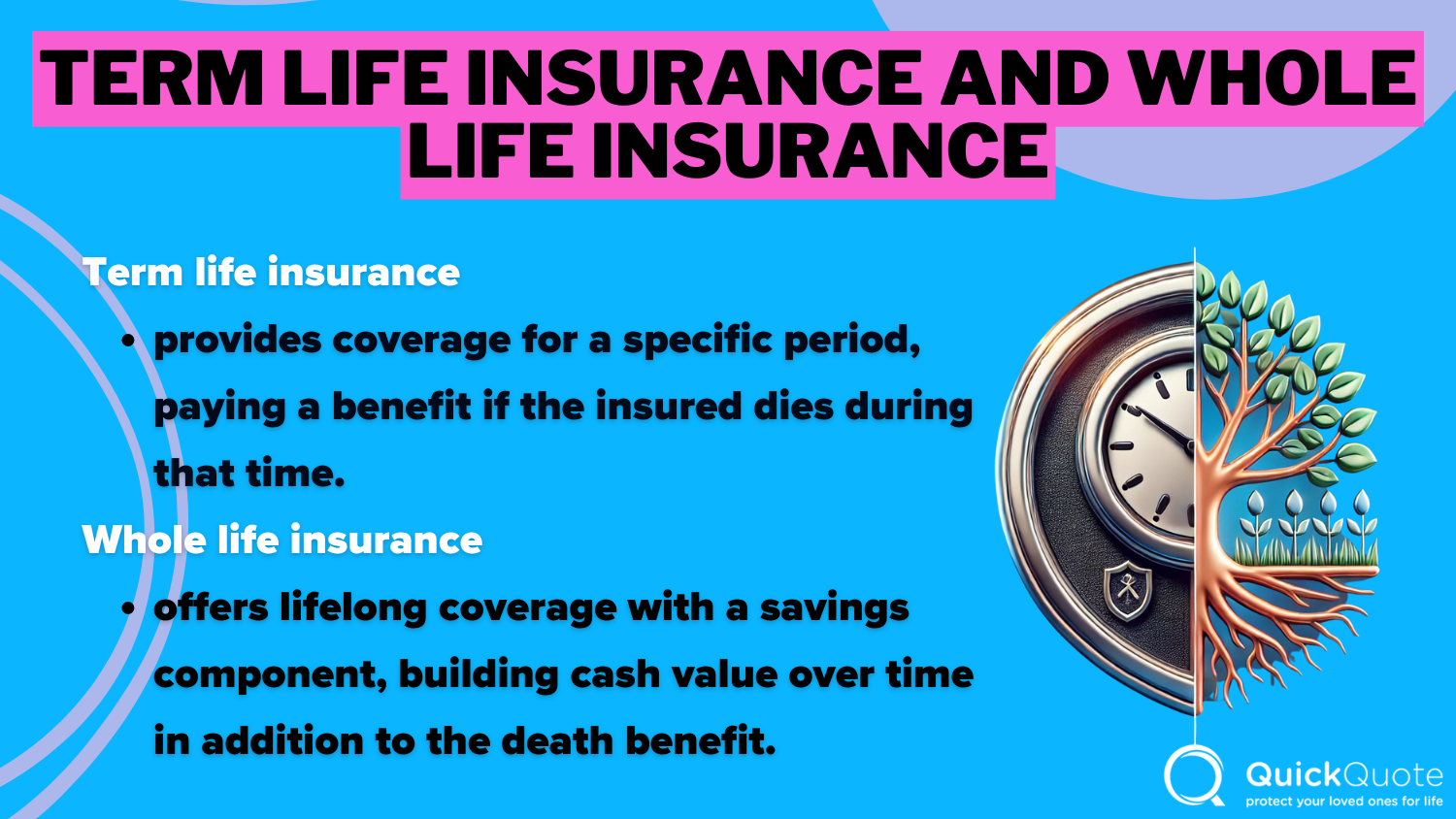 Term Life and Whole Life Insurance Infographic: AIG vs. State Farm Life Insurance